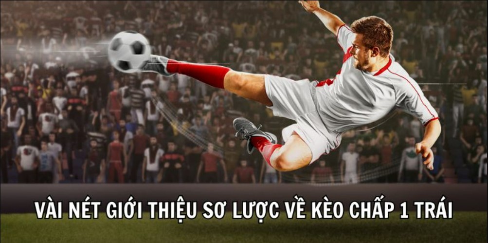 Nên tìm hiểu về đội chơi để tận dụng cơ hội ăn kèo