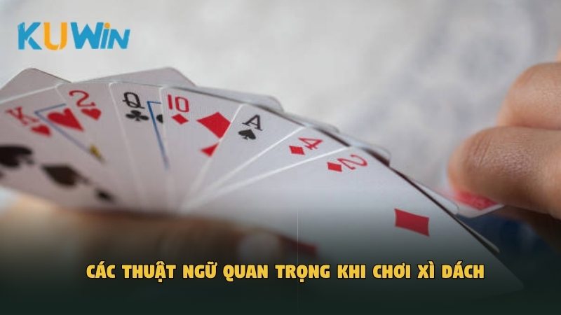 Các thuật ngữ quan trọng khi chơi Xì Dách